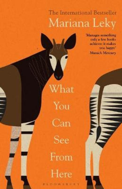 What You Can See From Here by Mariana Leky - 9781526638540