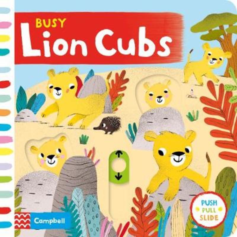 Busy Lion Cubs by Maria Neradova - 9781529005028