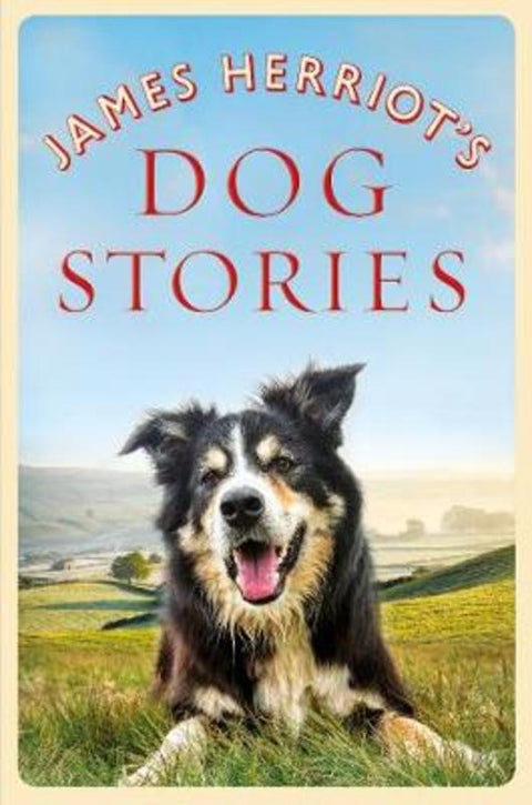 James Herriot's Dog Stories by James Herriot - 9781529023619