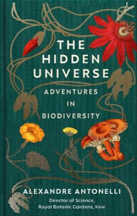 The Hidden Universe by Alexandre Antonelli - 9781529109160