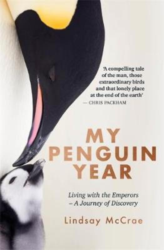 My Penguin Year by Lindsay McCrae - 9781529325461