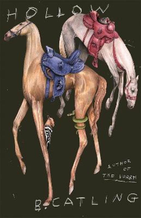 Hollow by Brian Catling - 9781529366433