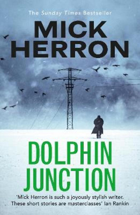 Dolphin Junction by Mick Herron - 9781529371284
