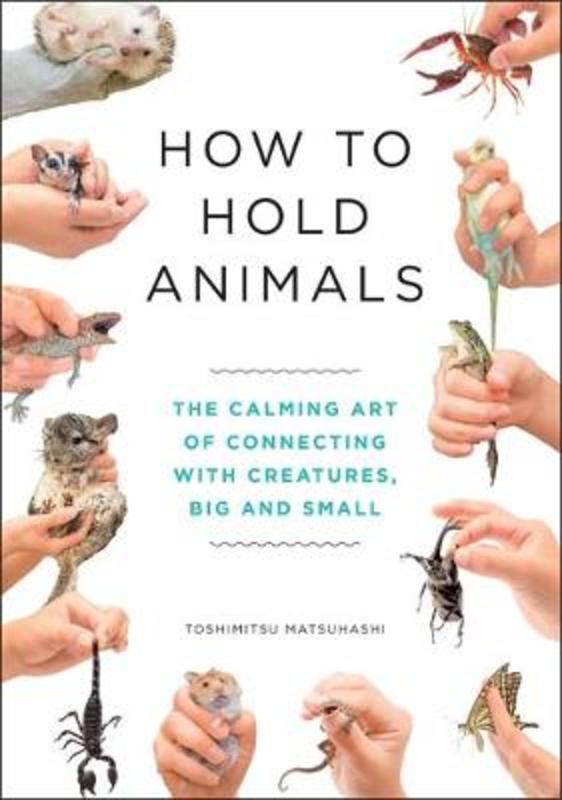 How to Hold Animals by Toshimitsu Matsuhashi - 9781529404531