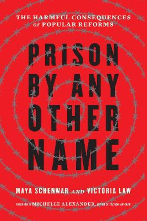 Prison by Any Other Name by Maya Schenwar - 9781620973103