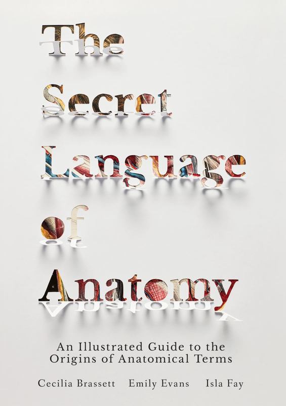 The Secret Language of Anatomy by Cecilia Brassett - 9781623172459