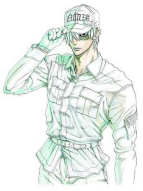 Cells At Work! 6 by Akane Shimizu - 9781632364272