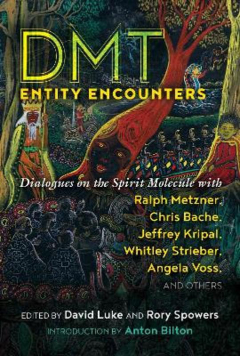 DMT Entity Encounters by David Luke - 9781644112335