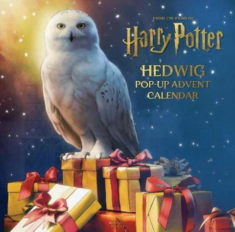 Harry Potter: Hedwig Pop-Up Advent Calendar from Matthew Reinhart - Harry Hartog gift idea