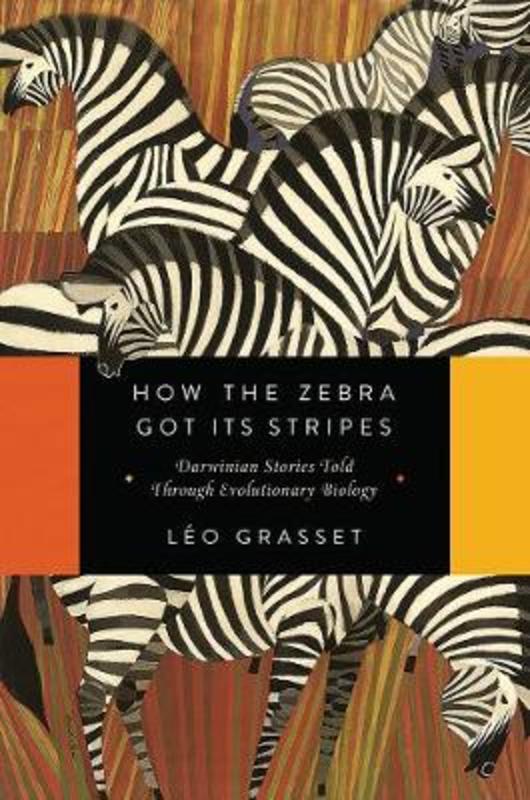 How the Zebra Got Its Stripes by Leo Grasset - 9781681777559