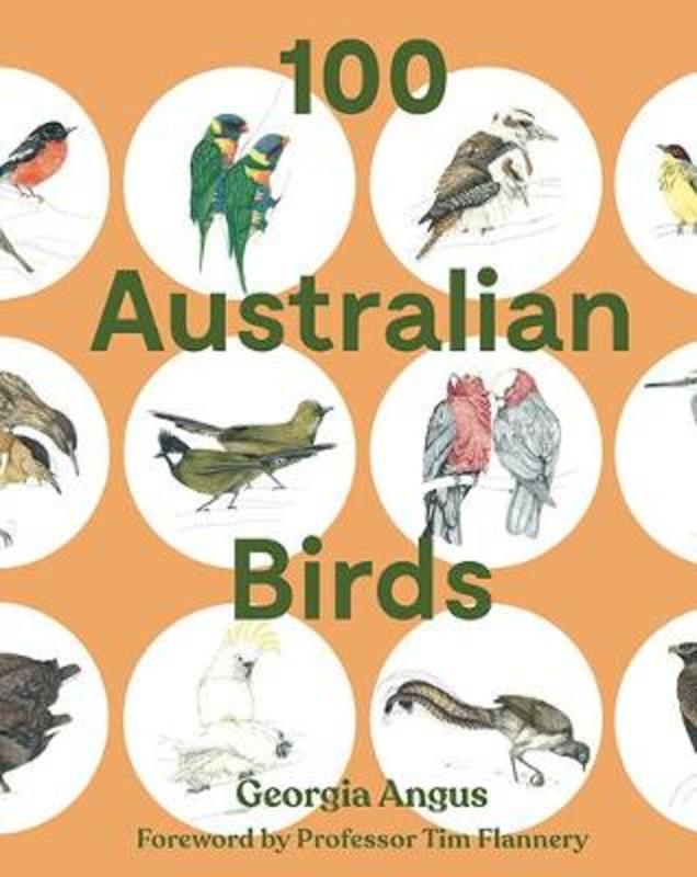 100 Australian Birds by Georgia Angus - 9781741177220