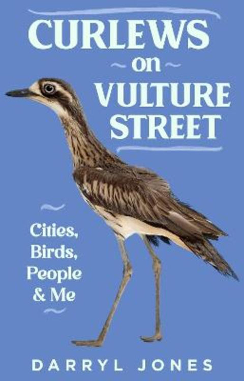 Curlews on Vulture Street by Darryl Jones - 9781742237367
