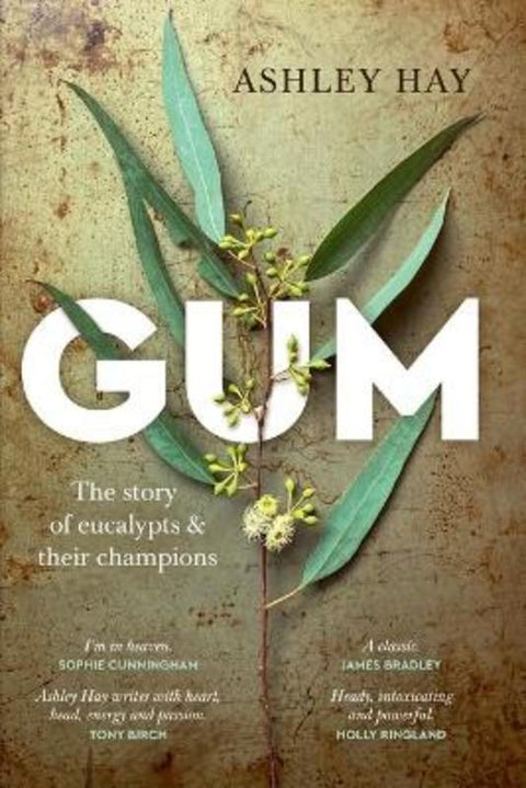 Gum by Ashley Hay - 9781742237534