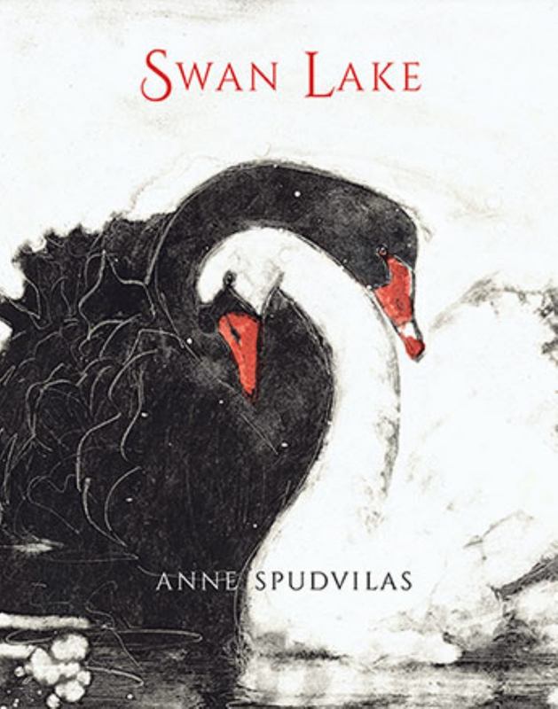 Swan Lake by Anne Spudvilas - 9781743318454