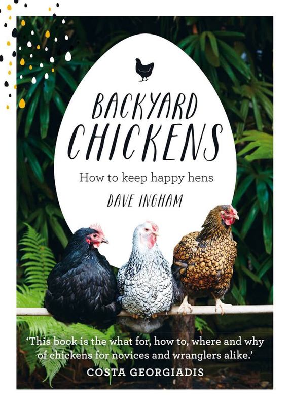Backyard Chickens by Dave Ingham - 9781743367537