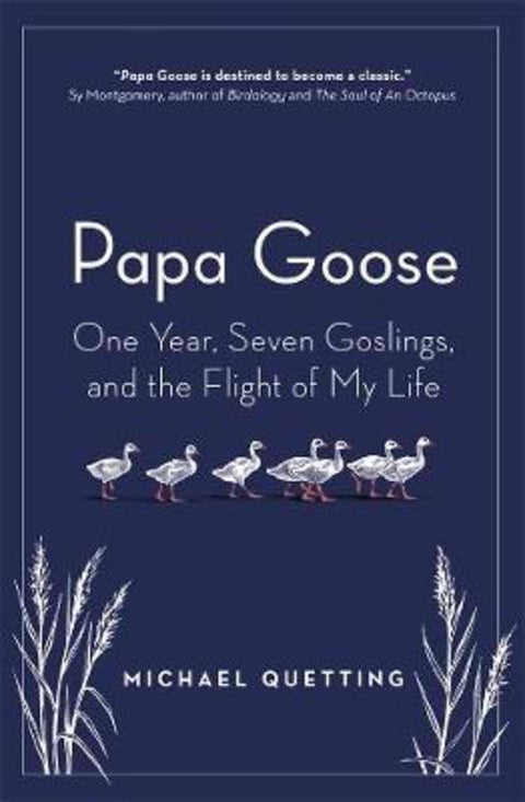Papa Goose by Michael Quetting - 9781760640750