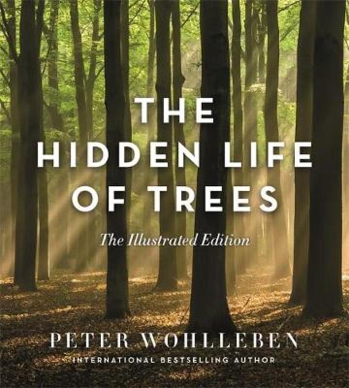 The Hidden Life of Trees (Illustrated Edition) by Peter Wohlleben - 9781760640767