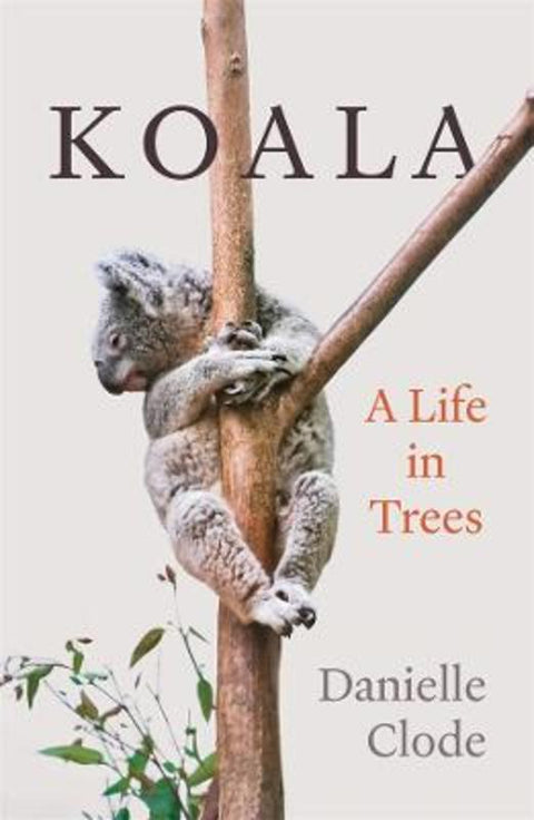 Koala by Danielle Clode - 9781760642884