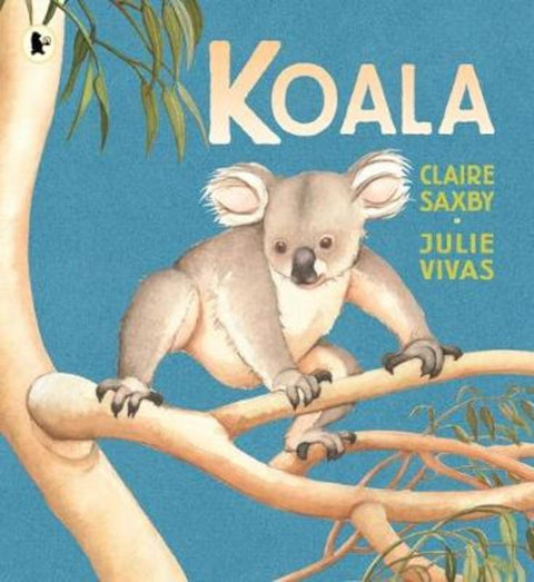 Koala by Claire Saxby - 9781760650919