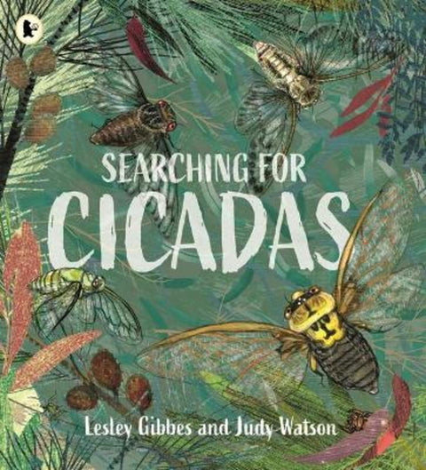 Searching for Cicadas by Lesley Gibbes (Author) - 9781760653965