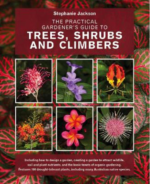 The Practical Gardener's Guide to Trees, Shrubs and Climbers by Stephanie Jackson - 9781760794422
