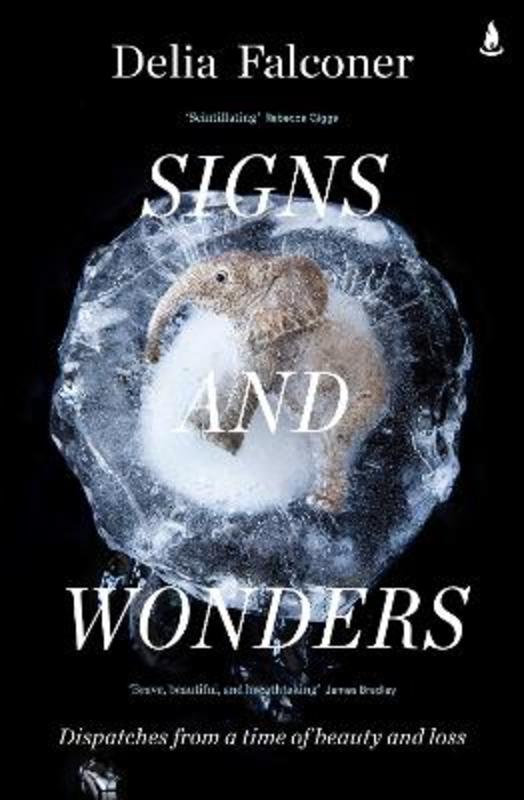 Signs and Wonders by Delia Falconer - 9781760857820