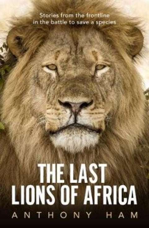 The Last Lions of Africa by Anthony Ham - 9781760875756