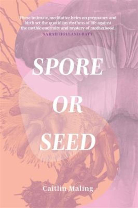 Spore or Seed by Caitlin Maling - 9781760992590