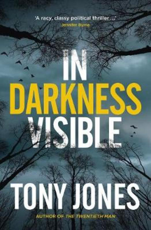 In Darkness Visible by Tony Jones - 9781761065026