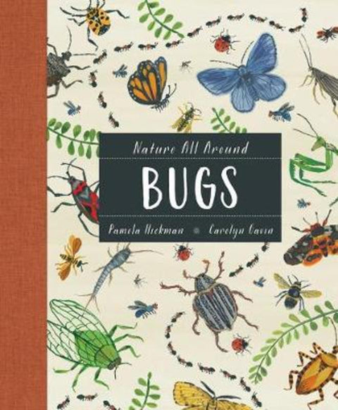 Nature All Around: Bugs by Pamela Hickman - 9781771388207
