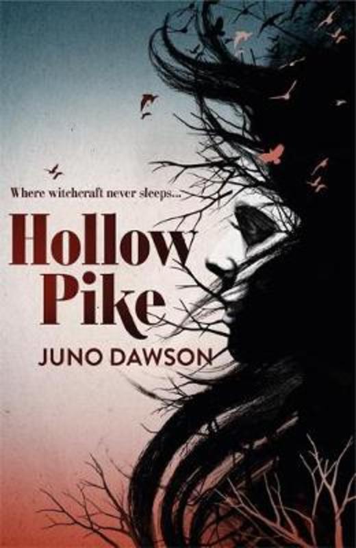 Hollow Pike by Juno Dawson - 9781780621289