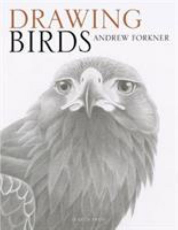 Drawing Birds by Andrew Forkner - 9781782214922