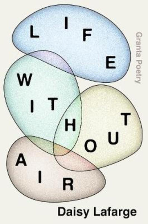 Life Without Air by Daisy Lafarge - 9781783786336