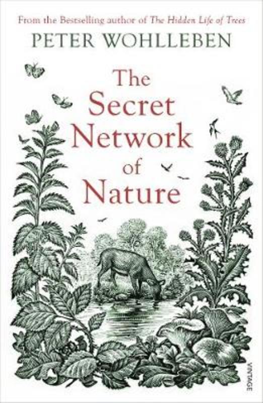 The Secret Network of Nature by Peter Wohlleben - 9781784708498
