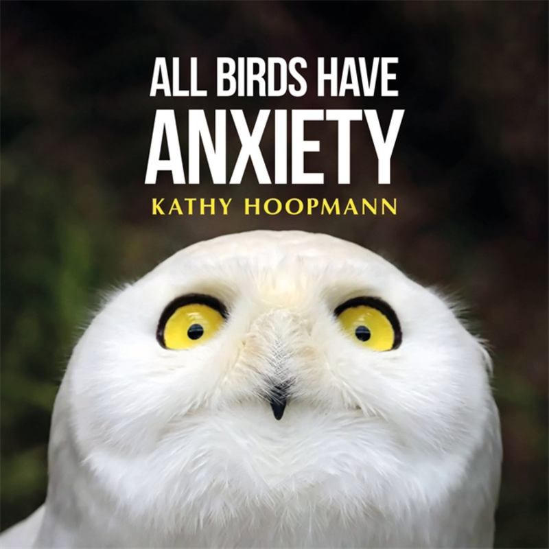 All Birds Have Anxiety by Kathy Hoopmann - 9781785921827