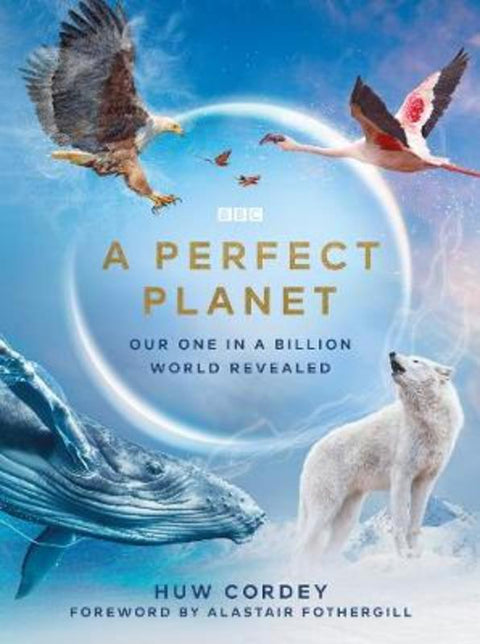 A Perfect Planet by Huw Cordey - 9781785945298