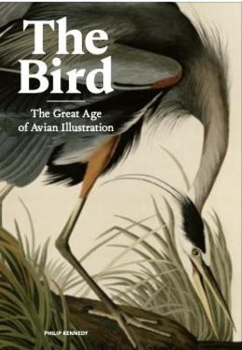 The Bird by Philip Kennedy - 9781786277312