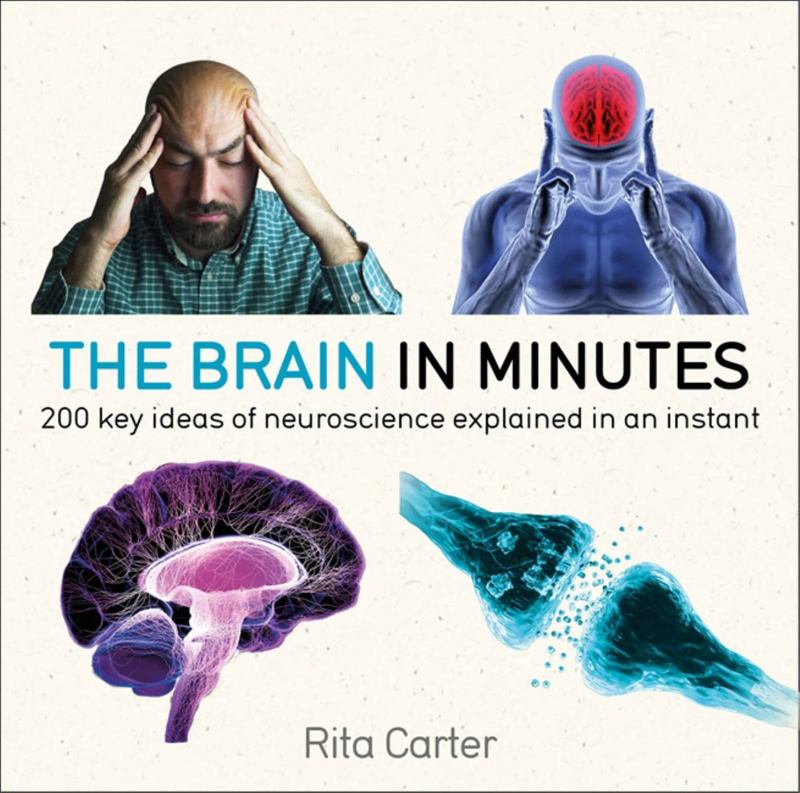 The Brain in Minutes by Rita Carter - 9781786485793