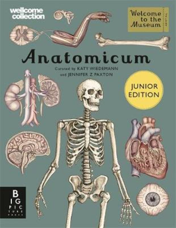 Anatomicum Junior by Katy Wiedemann - 9781787416543
