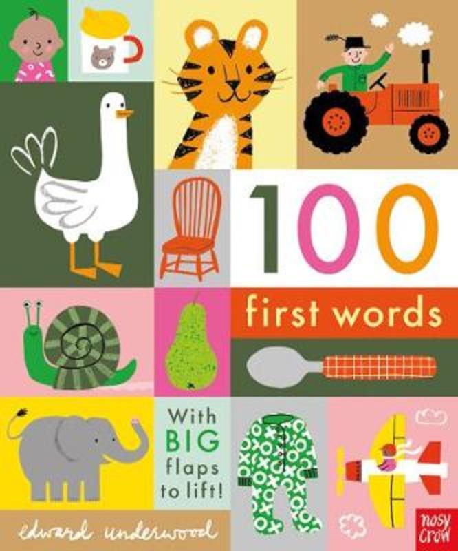 100 First Words by Edward Underwood - 9781788004893
