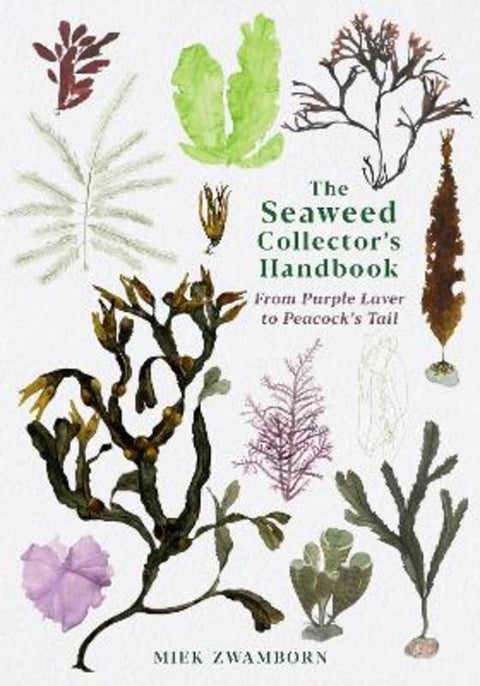 The Seaweed Collector's Handbook by Miek Zwamborn - 9781788165471
