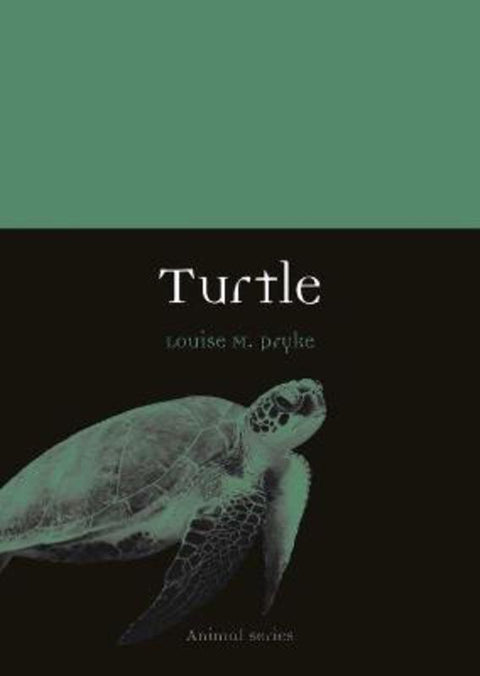 Turtle by Louise M. Pryke - 9781789143362