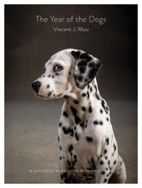 The Year of the Dogs Notecards from Vincent J. Musi - Harry Hartog gift idea