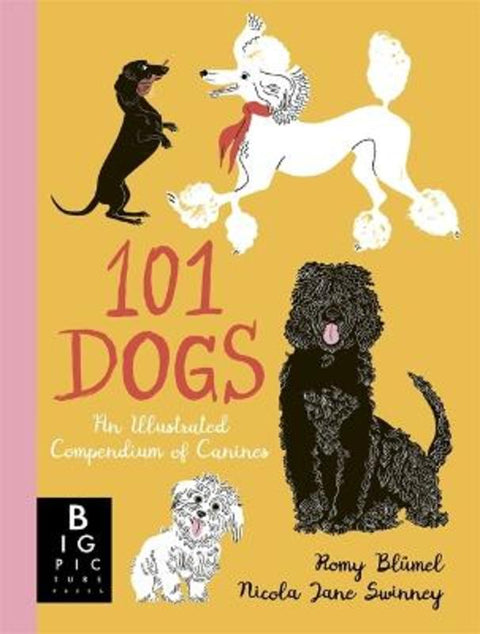 101 Dogs by Nicola Jane Swinney - 9781800781153