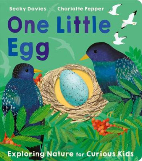 One Little Egg by Becky Davies - 9781801043236