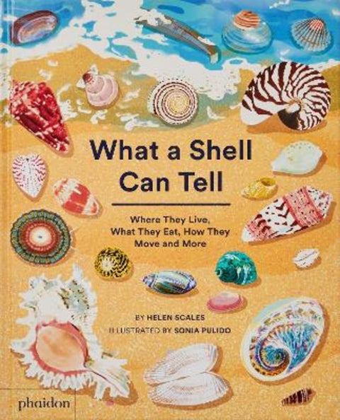 What A Shell Can Tell by Helen Scales - 9781838664305