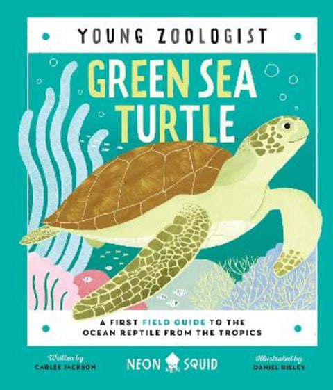 Green Sea Turtle (Young Zoologist) from Carlee Jackson - Harry Hartog gift idea