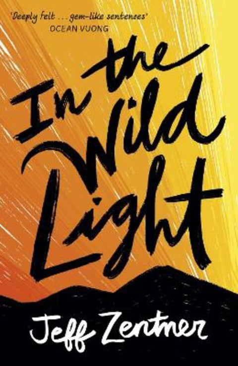 In the Wild Light by Jeff Zentner - 9781839130847