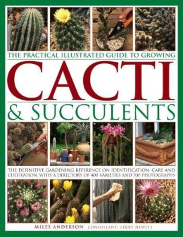 Practical Illustrated Guide to Growing Cacti & Succulents by Miles Anderson - 9781843093558