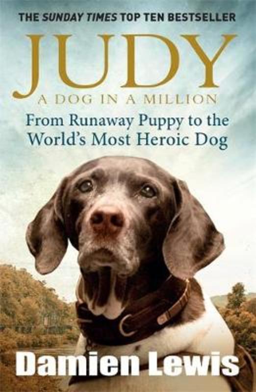 Judy: A Dog in a Million by Damien Lewis - 9781848665385